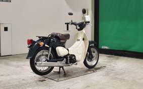HONDA LITTLE CUB E AA01