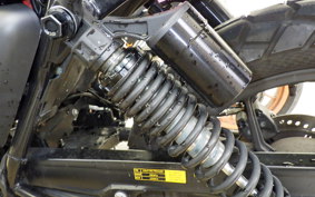 OTHER FSR250