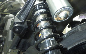 KAWASAKI ZRX1200 D 2019 ZRT20D