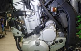 KAWASAKI KLX250D TRACKER 2025 LX250E