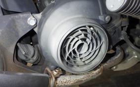 HONDA BENLY 110 JA09