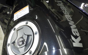 KAWASAKI NINJA 250R EX250K