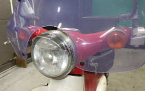 HONDA LITTLE CUB 2020 AA01