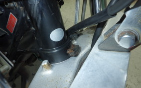 YAMAHA TW200 Gen.2 2021 DG07J