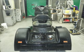 OTHER UNREGISTERED MODEL by BDS TRIKE250