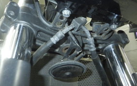 KAWASAKI ZRX1200 D 2019 ZRT20D