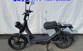 OTHER MINI BIKE