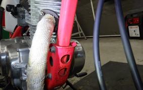 HONDA APE 50 2025 AC16