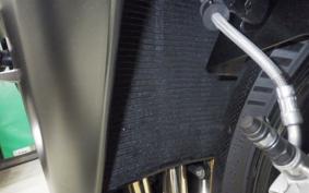 KAWASAKI NINJA H2 CARBON 2021 ZXT02J