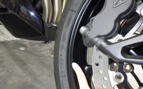 TRIUMPH TIGER SPORTS800 2026