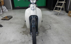 HONDA LITTLE CUB E AA01
